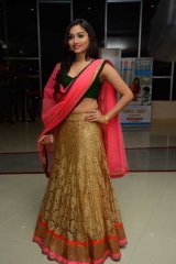 Anekudu Audio Launch Photos 